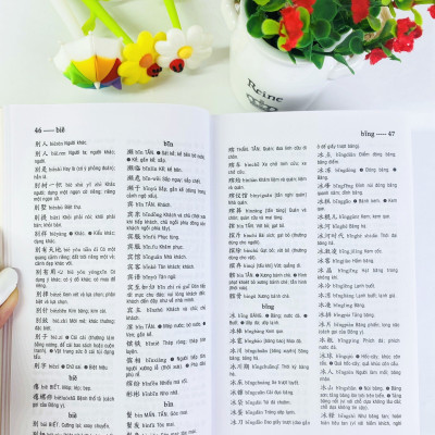 Từ điển Trung Việt (Bìa mềm)