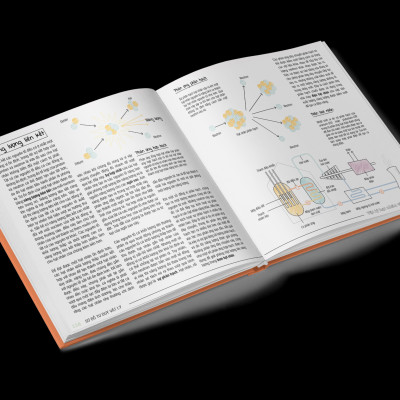 Sách Sơ Đồ Tư Duy Vật Lý - Cách Thức Hoạt Động Của Vũ Trụ