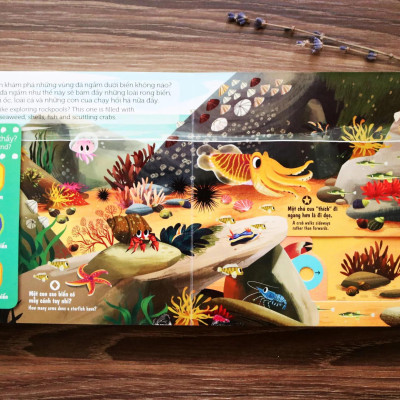 Sách Chuyển Động First Exploreres - Sinh Vật Biển