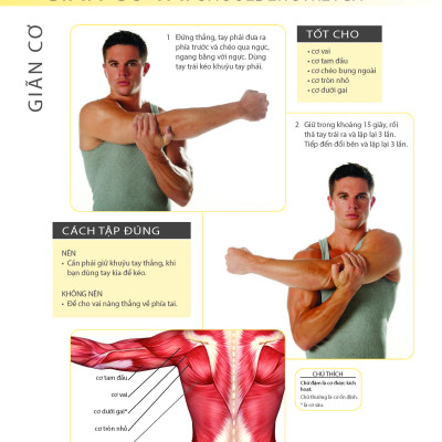 Khỏe Đẹp Với Các Bài Tập Cơ Bản