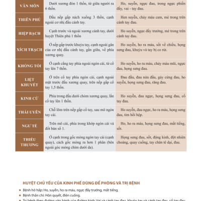 Đồ Giải Kinh Lạc Huyệt Vị Cơ Thể (Tái Bản 2023)