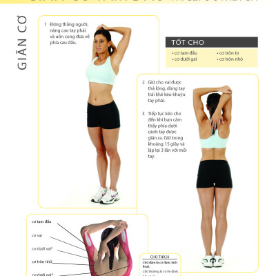 Khỏe Đẹp Với Các Bài Tập Cơ Bản