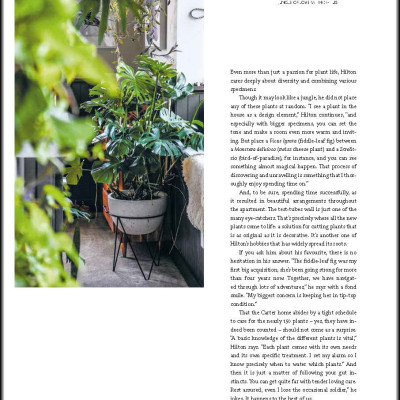 Ultimate Wonder Plants : Your Urban Jungle Interior