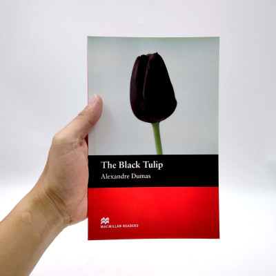 Macmillan Readers: Black Tulip Beg
