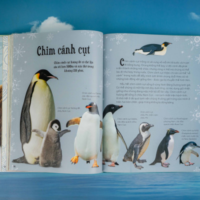 Sách - Bách khoa thư kỳ thú về Vũ trụ - Đinh Tị Books