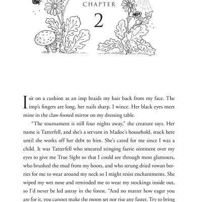 The Folk Of The Air 1: The Cruel Prince