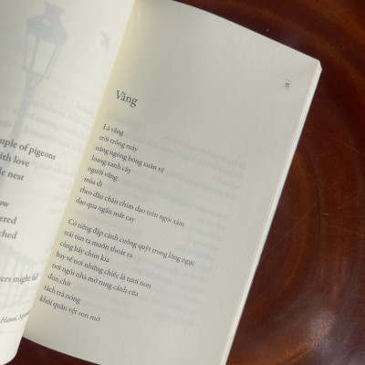 SHADOWS OF MY MIND – BÓNG CỦA Ý NGHĨ – thơ song ngữ Việt – Anh – Nguyễn Bảo Chân – NXB Thế Giới