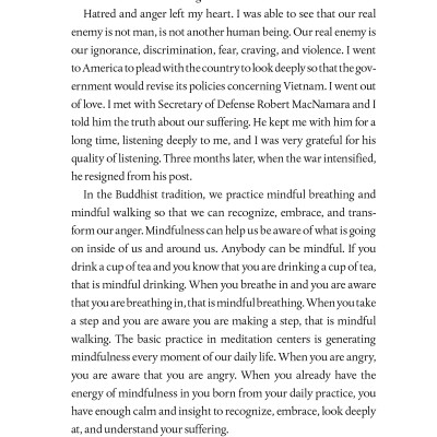 Calming The Fearful Mind: A Zen Response To Terrorism