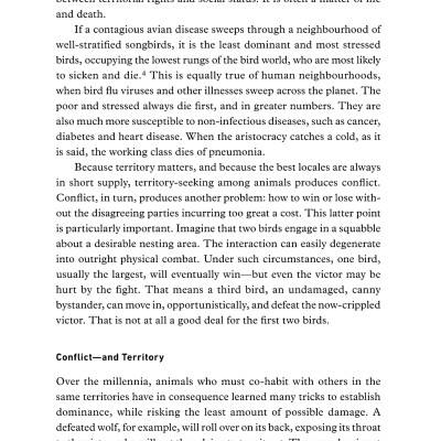 12 Rules For Life: An Antidote To Chaos