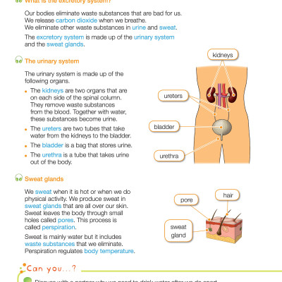 i-Learn Smart Science 4 Student Book
