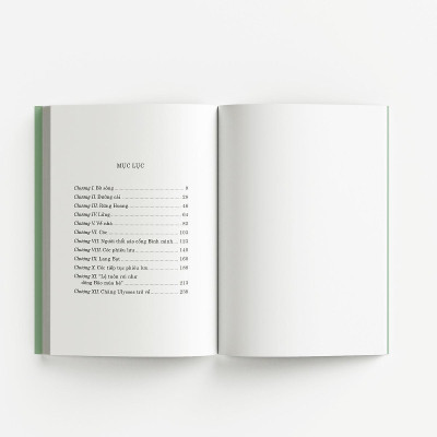 Sách - Gió Đùa Trong Liễu - Đông A