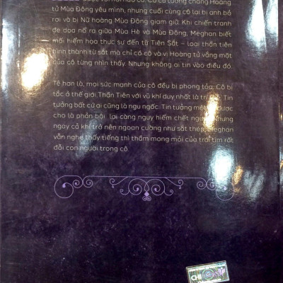 Thiếu Nữ Sắt (Phần 2 Series Thế Giới Của Tiên Sắt)