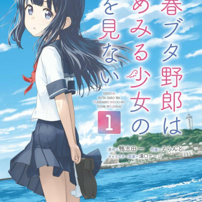 Seishun Buta Yaro Wa Yumemiru Shojo No Yume Wo Minai 1 (Japanese Edition)