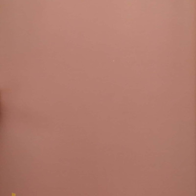 Bởi Vì Mây Vẫn Trắng… - Tác Giả Nguyễn Đức Hạnh