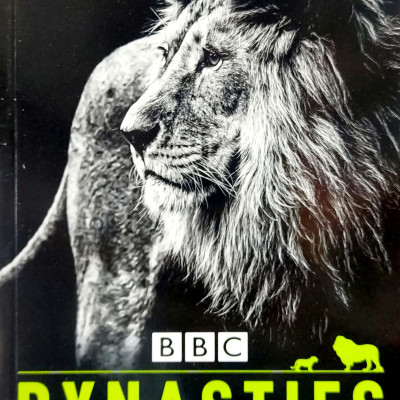 Penguin Readers Level 1: BBC Dynasties: Lions
