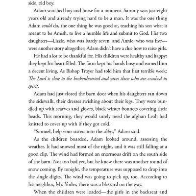 Outsider: A Novel Of Suspense