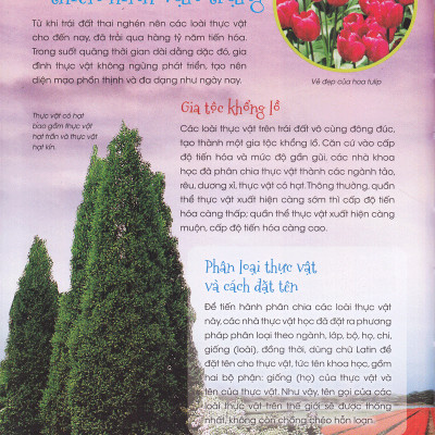 Thiên Nhiên- Những Bí Mật Còn Ẩn Giấu - Gia Đình Thực Vật - 2HBooks