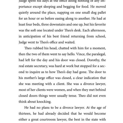 Theodore Boone: The Accomplice