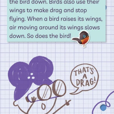 Ada Twist, Scientist: The Why Files #1 - Exploring Flight!