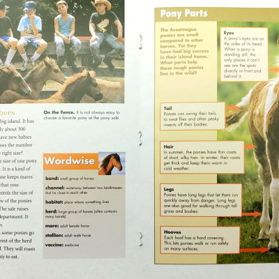 Explore on Your Own Life Science Pioneer Wild Ponies