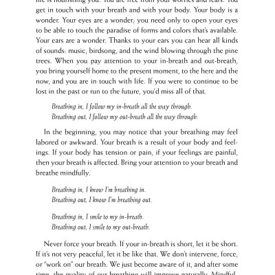 Happiness - Essential Mindfulness Practices