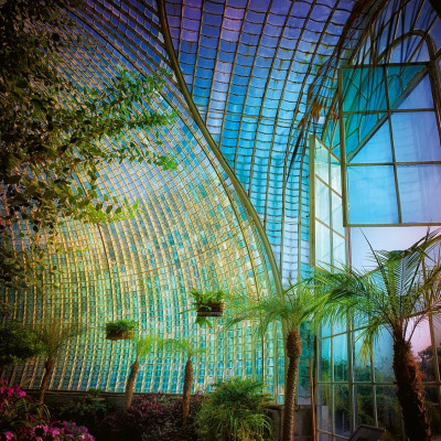 Greenhouses-Cathedrals For Plants