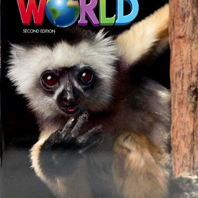 Our World Starter Workbook 2nd Edition (American English)