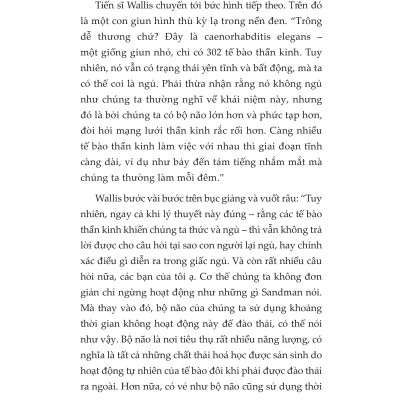 14 Ngày Đẫm Máu