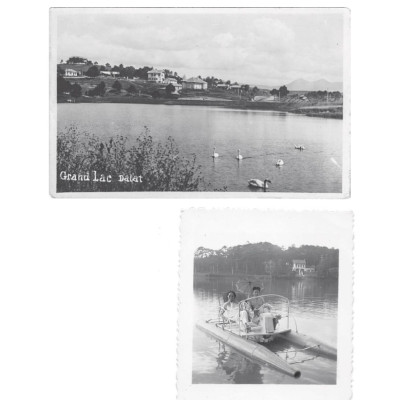 Sách - Đà Lạt, Thành Phố Trong Album