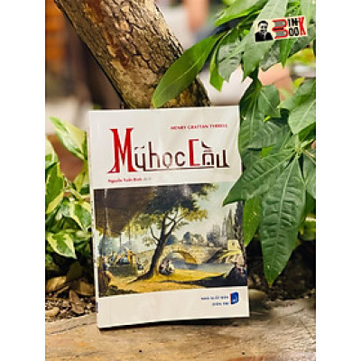 (Bản vẽ minh hoạ) MỸ HỌC CẦU –  Henry Grattan Tyrrell – Nguyễn Tuấn Bình dịch – Nxb Dân Trí