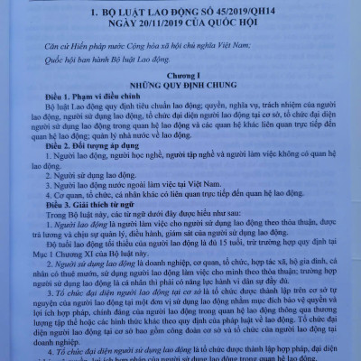 Sách Bộ Luật Lao Động – Quy Định Về Quản Lý Lao Động, Tiền Lương Và Tiền Thưởng Đối Với Công Chức, Viên Chức, Người Lao Động (V2532D)
