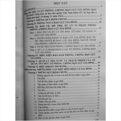 Sách Luật Phòng Chống Bạo Lực Gia Đình 2022 (Có hiệu lực từ ngày 01 tháng 07 năm 2023) - V2231T