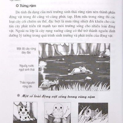 Vẽ Truyện Tranh Phong Cách Nhật Bản - Tạo Hình Và Bối Cảnh Truyện Tranh Hoạt Hình