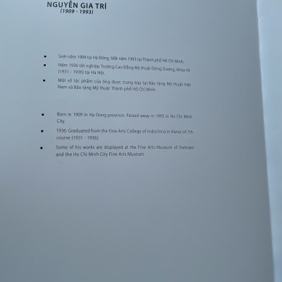 CÁC HOẠ SĨ VIỆT NAM ĐƯƠNG ĐẠI (BÌA CỨNG)