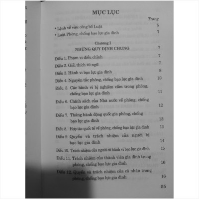LUẬT PHÒNG CHỐNG BẠO LỰC GIA ĐÌNH 2022