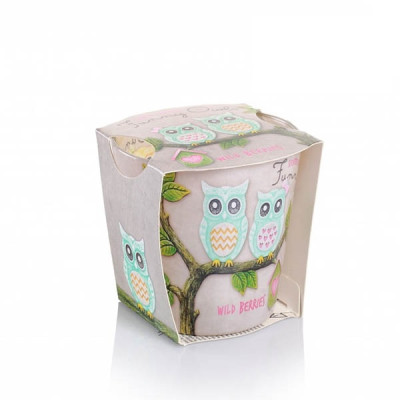 Ly nến thơm Bartek Candles BAT6794 Funny Owls 115g (Hương quả ngọt)