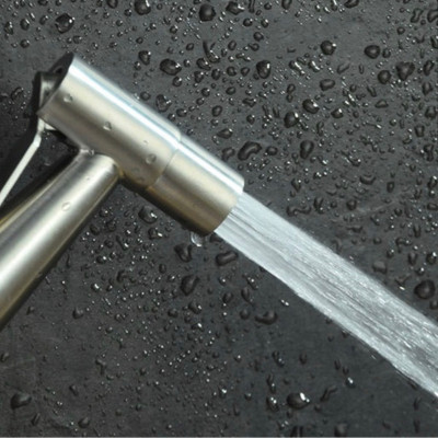 Bộ Đầu vòi xịt vệ sinh (toilet) inox SUS 304