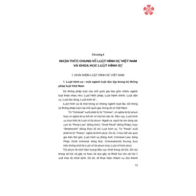 Tổng quan Luật Hình sự Việt Nam
