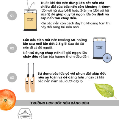 Nến ly tròn sáp đậu nành Yankee Candle size L (567g) - Balsam & Cedar