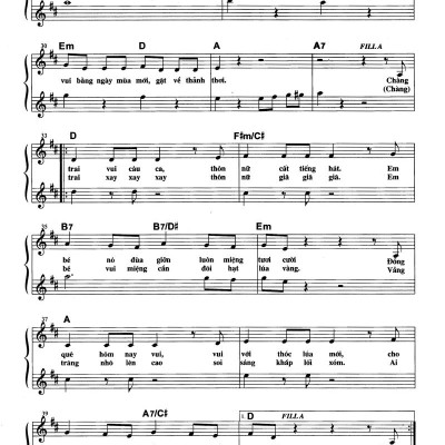 Thực Hành Đệm Organ - Tình Ca Quê Hương (Kèm CD)