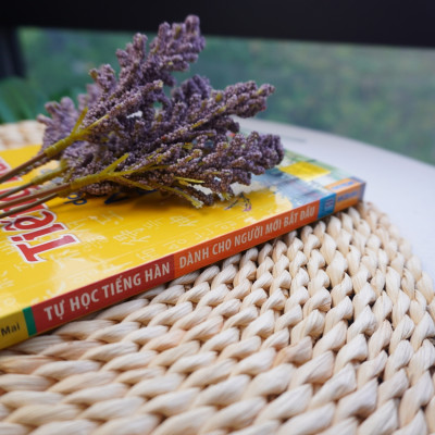 Tự Học Tiếng Hàn Dành Cho Người Mới Bắt Đầu (Tặng Bookmark PL)