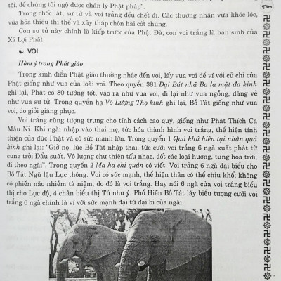 Phật Học Tinh Hoa - Khởi Nguồn, Tu Trì, Cứu Độ