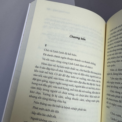 (Tái bản 2023) ĐINH TRANG MỘNG - Diêm Liên Khoa - Tao Đàn