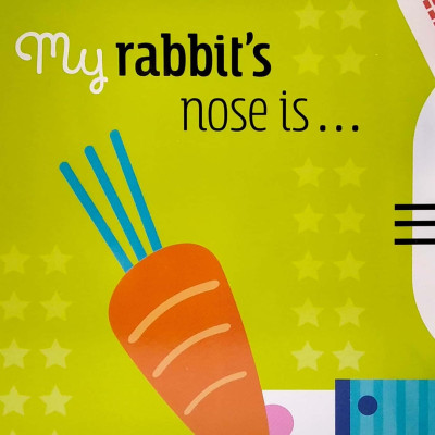 My Crocodile Is … Pink And Fluffy