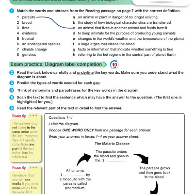 My IELTS Book 2B PREPARATION COURSE Student