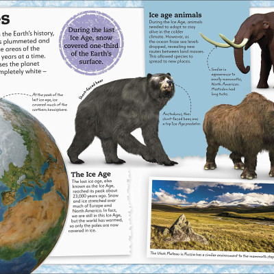 My Book Of Dinosaurs And Prehistoric Life: Animals And Plants To Amaze, Surprise, And Astonish!