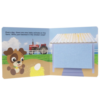 Sách ngoại văn: Felt Flaps - Baby Einstein Discover A Farm