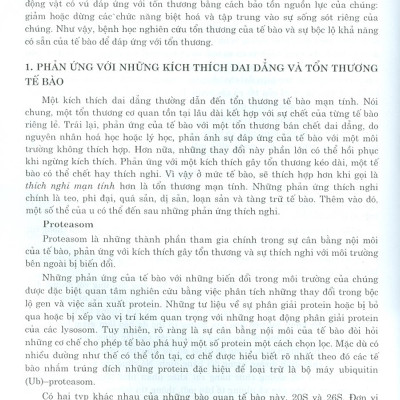 Bệnh Học Đại Cương (Dùng Cho Đào Tạo Bác Sĩ Và Học Viên Sau Đại Học)