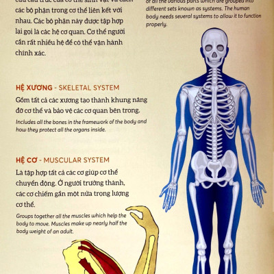 Bách Khoa Tri Thức - Khám Phá Cơ Thể Người - Explore The Human Body (Song Ngữ)