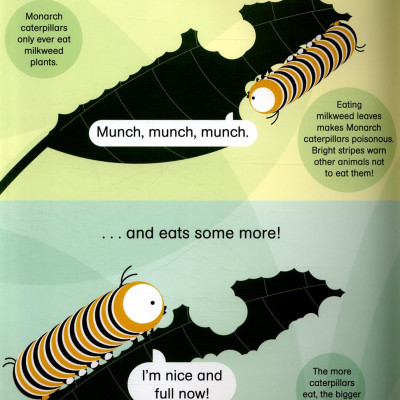 ROUNDS: CORA CATERPILLAR PB